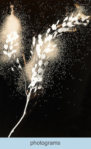 photograms